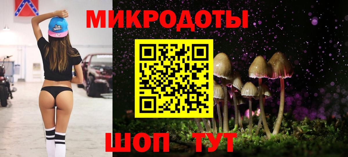 Галлюциногенные грибы Psilocybine cubensis Жигулёвск
