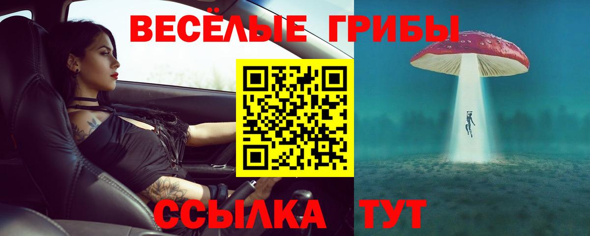 Галлюциногенные грибы Cubensis  Псилоцибиновые грибы Psilocybine cubensis  Вход с VPN  Жигулёвск 